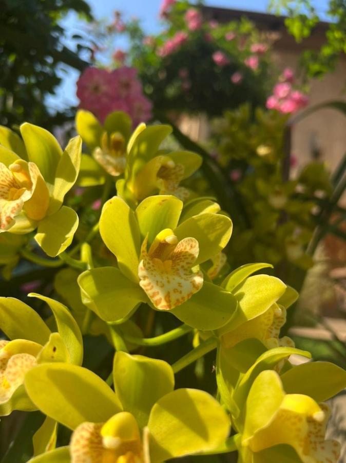 Durban Italian Villa 1&2 المظهر الخارجي الصورة